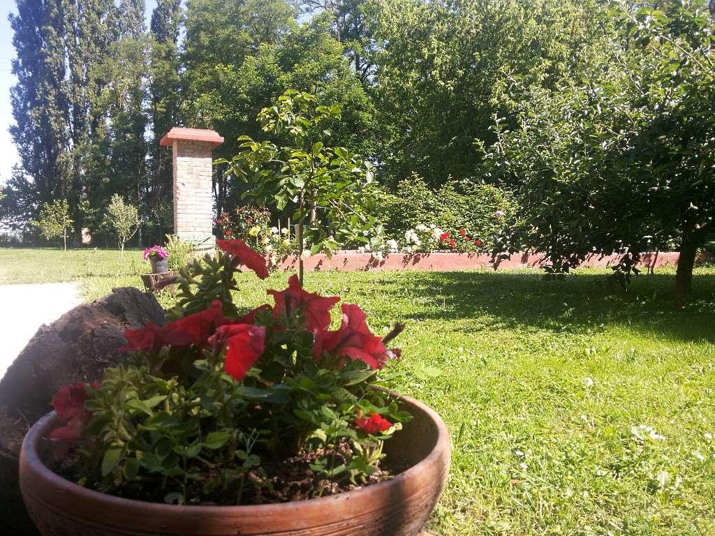 Alloggio Agrituristico Dodici-Apostoli Casumaro Ngoại thất bức ảnh